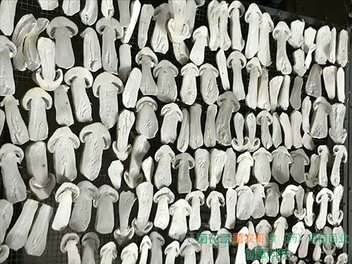 赤松茸干品 赤松茸干品